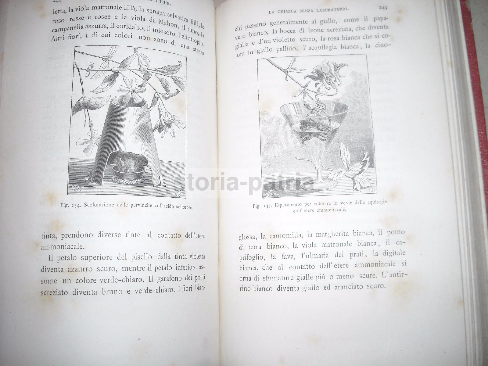 Scienze, Fisica, Tecnica, Giochi Scientifici, Ottica, Chimica, Volo, Locomozione, 1882 immagine 7