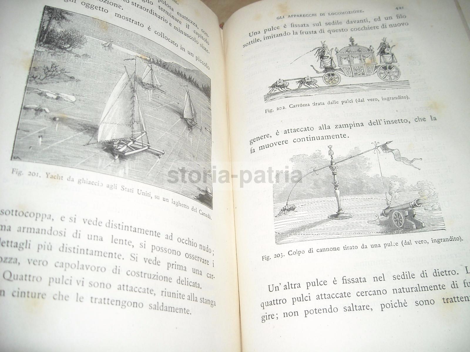 Scienze, Fisica, Tecnica, Giochi Scientifici, Ottica, Chimica, Volo, Locomozione, 1882 immagine 12